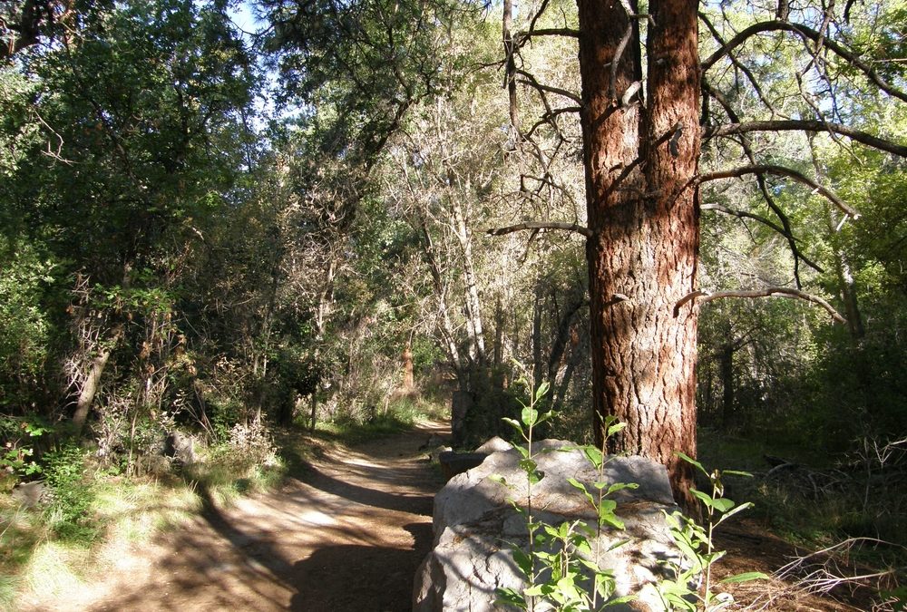 Bandelier National Monument