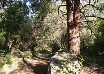 Bandelier National Monument